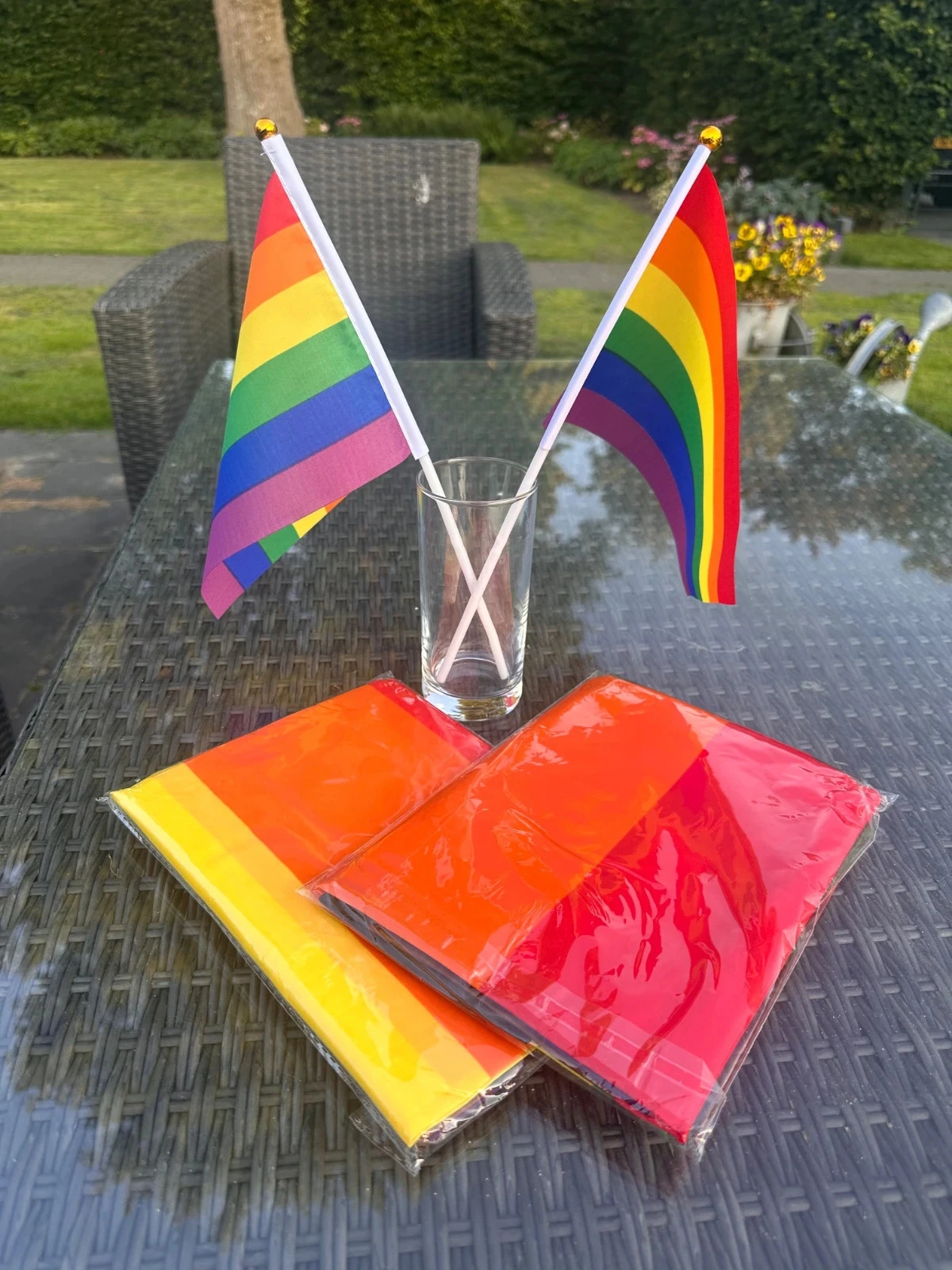 Regenboog Vlaggenset